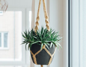 product 04